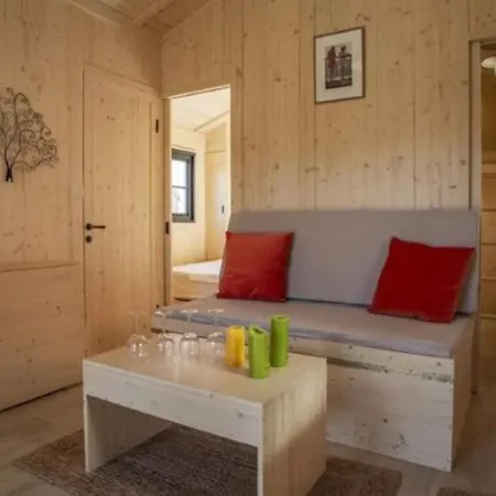 30m² Avec Terrasse Et Coffre-fort - Api-1-52-557 Kamp alanı *