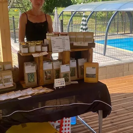 30m² Avec Terrasse Et Coffre-fort - Api-1-52-557 *