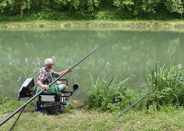 Camping 30m² Avec Terrasse Et Coffre-fort - Api-1-52-557 *