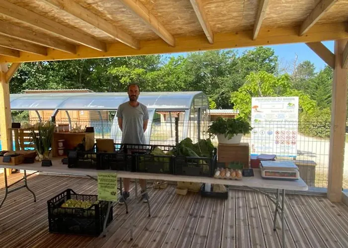 Camping 30m² Avec Terrasse Et Coffre-fort - Api-1-52-557 Le Fouilloux